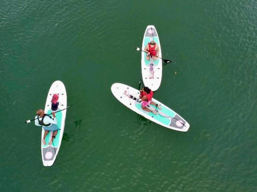 Miami: Paddle Board or Kayak Rental in Virginia Key - Key points to know before you book