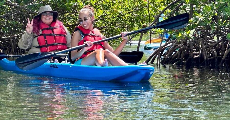 Miami: Paddle Board or Kayak Rental in Virginia Key - What to bring and how to prepare