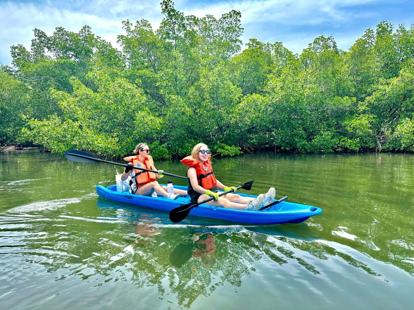 Miami: Paddle Board or Kayak Rental in Virginia Key - Biscayne Bay and the Downtown Miami view