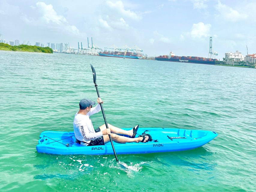 Miami: Paddle Board or Kayak Rental in Virginia Key - Wildlife: what you may see by season