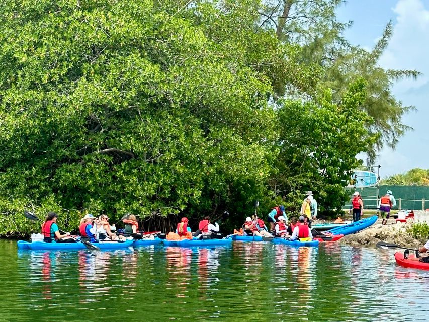 Miami: Paddle Board or Kayak Rental in Virginia Key - Who will enjoy this most