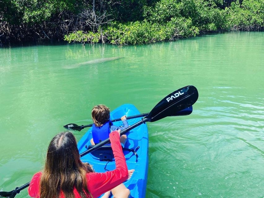 Miami: Paddle Board or Kayak Rental in Virginia Key - Starting at 3801 Arthur Lamb Jr Road