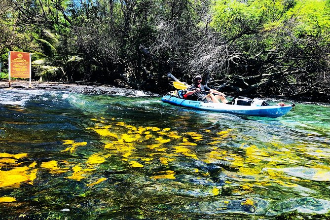Midday Meander - Kealakekua Bay Kayak and Snorkel Adventure - Why Kealakekua Bay is worth your morning