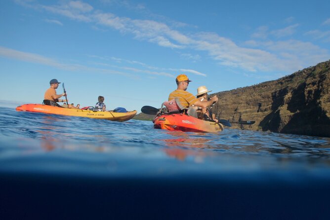 Midday Meander - Kealakekua Bay Kayak and Snorkel Adventure - Snorkeling beside the Captain Cook Monument