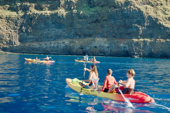 Midday Meander - Kealakekua Bay Kayak and Snorkel Adventure - Is $187.45 a fair price?