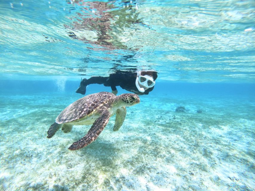 Miyako Island: SUP or Canoeing and Snorkeling Experience - What the six-hour Miyako Island day looks like