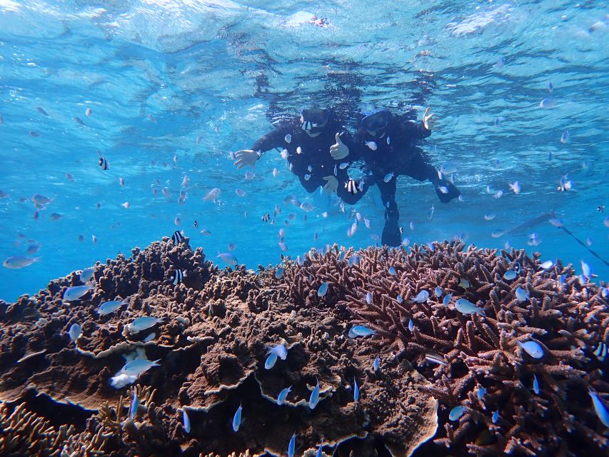 Miyako Island: SUP or Canoeing and Snorkeling Experience - Guides, language, and the real communication picture