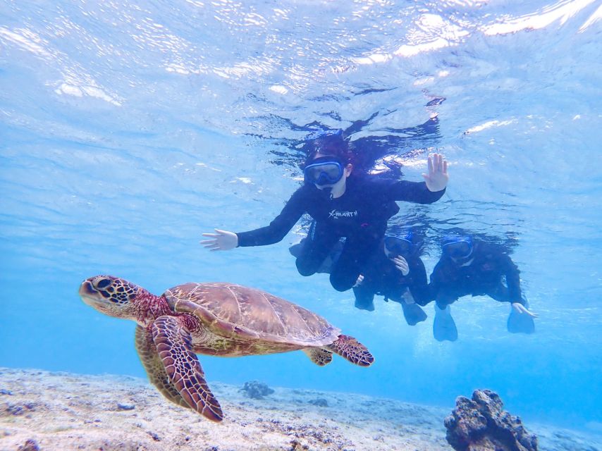 Miyako Island: SUP or Canoeing and Snorkeling Experience - Price and what you receive for $95