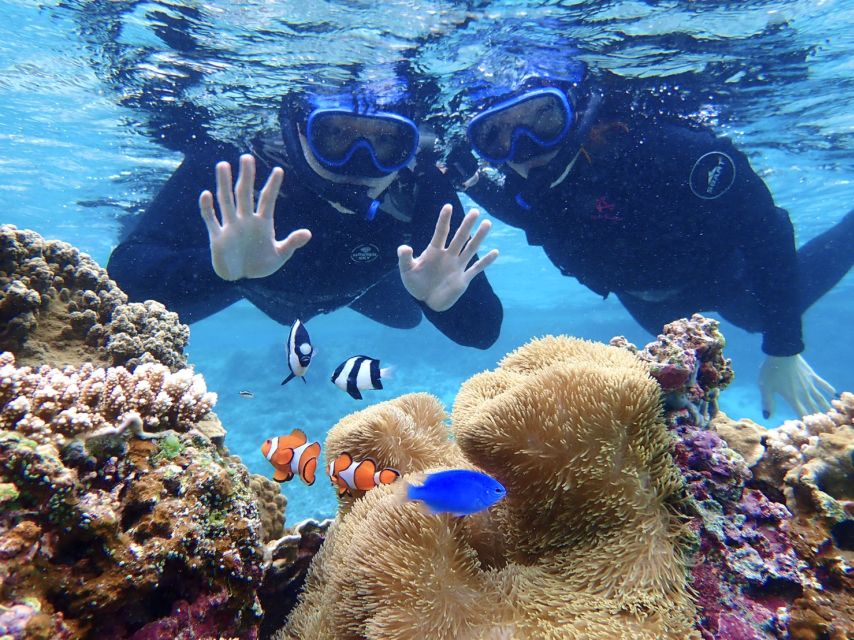 Miyako Island: SUP or Canoeing and Snorkeling Experience - Meeting points, parking, and timing