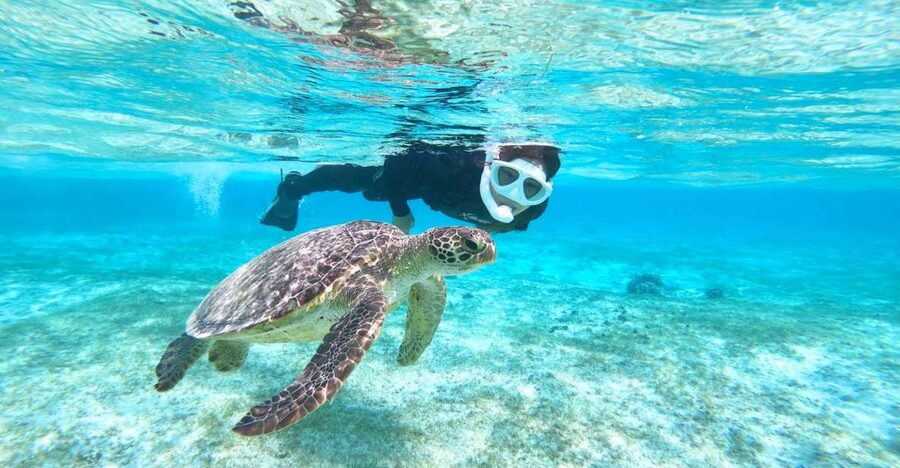 Miyako Island: SUP or Canoeing and Snorkeling Experience - Paddling at Ingyá Marine Garden