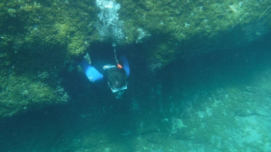 Mogán: Guided Kayak to Caves and Snorkeling Tour - Who will enjoy this most?