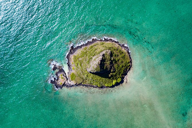 Mokolii Island Self Guided Kayak Tour - Should you book the Mokoliʻi kayak tour?
