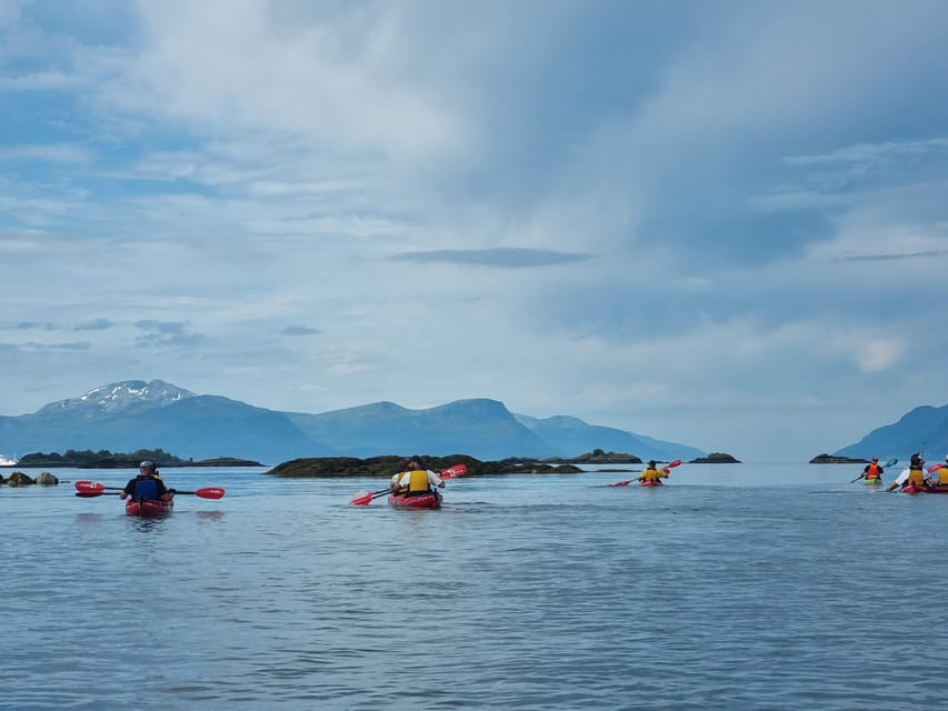 Molde - Guided kayak tour - The price: what you receive for $131
