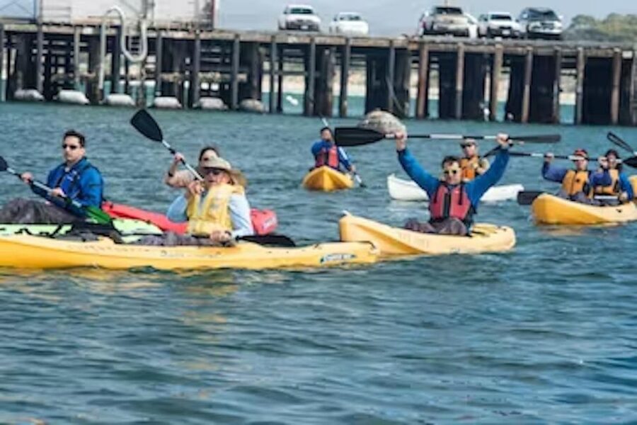 Monterey: Cannery Row Kayak Tour - Why the otters make this two-hour tour special