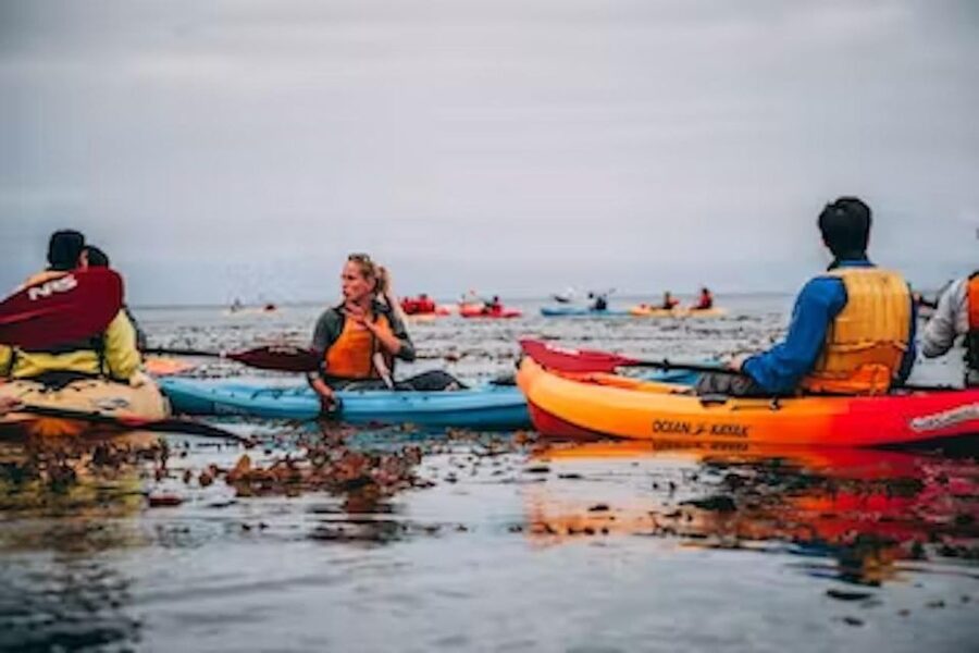 Monterey: Cannery Row Kayak Tour - What the $65 price includes