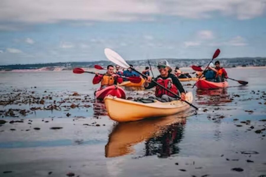 Monterey: Cannery Row Kayak Tour - Should you book it?