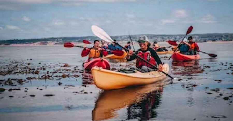 Monterey: Cannery Row Kayak Tour - Starting at Cannery Row and San Carlos Beach Park