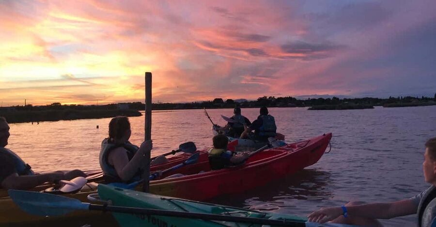 Montpellier : Birdwatching by kayak in the Camargue - Why this Camargue kayak trip feels different