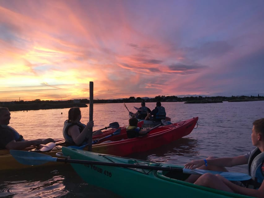 Montpellier : Birdwatching by kayak in the Camargue - Paddling into the shallow lagoon