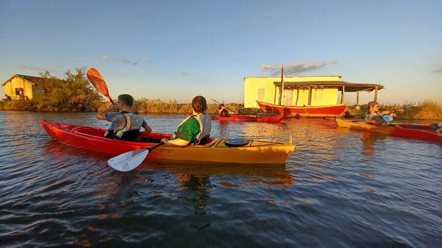 Montpellier : Birdwatching by kayak in the Camargue - What the guide adds