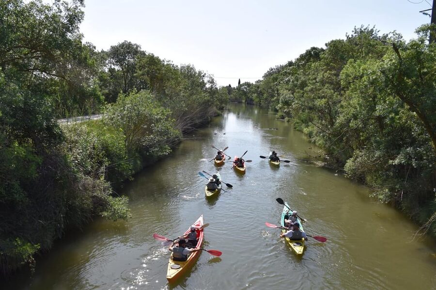 Montpellier : Birdwatching by kayak in the Camargue - Choosing between morning and sunset