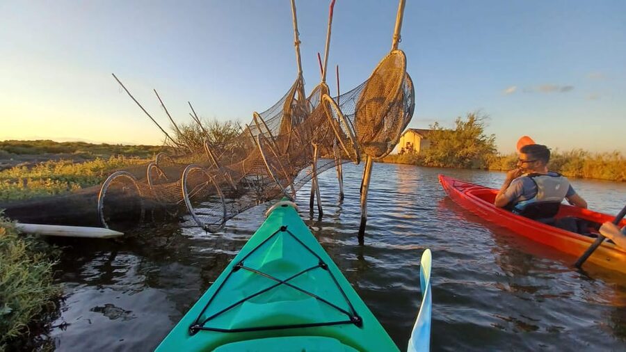 Montpellier : Birdwatching by kayak in the Camargue - Practical details that make the day easier