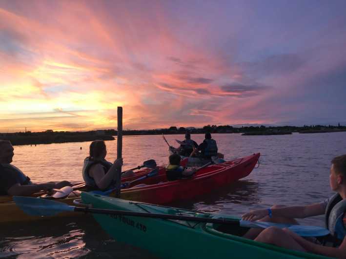 Montpellier : Birdwatching by kayak in the Camargue - Starting at the Echappée Verte base