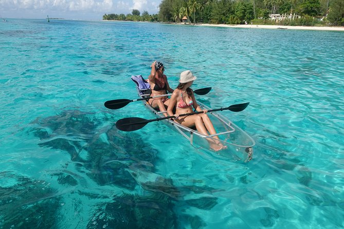 Moorea Lagoon Tour by Transparent Kayak - What the transparent kayak can and cannot show