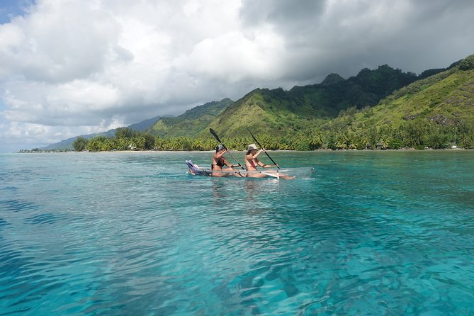 Moorea Lagoon Tour by Transparent Kayak - Snorkeling with rays, sharks, and fish