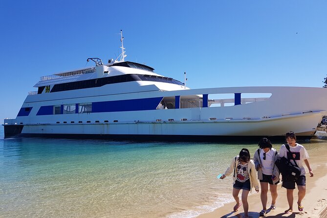 Moreton Island Day Trip (Kayak, Snorkel & Sandboard) frm Brisbane or Gold Coast - A beach lunch with little time to linger