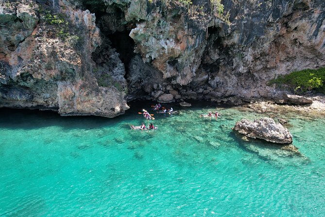 Morning Kayaking Tour to Little Bay - Key points to know before you book