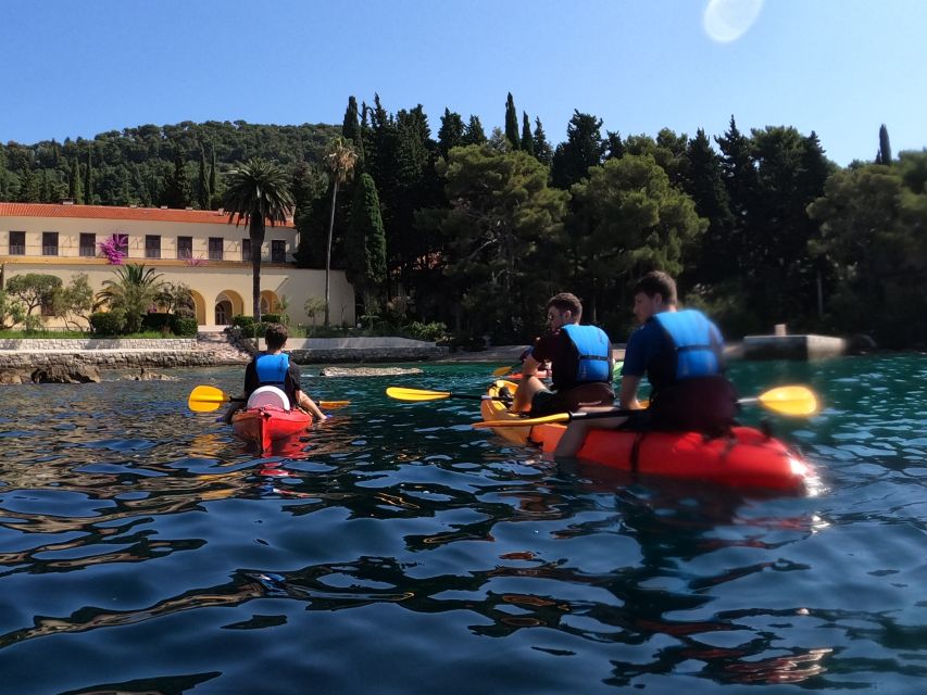 Morning Split Sea Kayaking Tour - The guide makes the difference