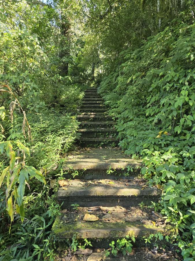 Munduk: Twin Lakes Jungle Hike with Lake Canoe and Waterfall - Pura Ulun Danu Tamblingan and Pura Dalem Tamblingan