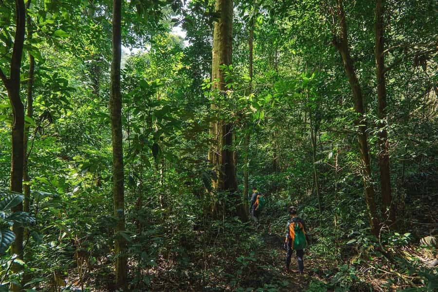 Munduk: Twin Lakes Jungle Hike with Lake Canoe and Waterfall - Banyumala Twin Waterfalls and the steep return