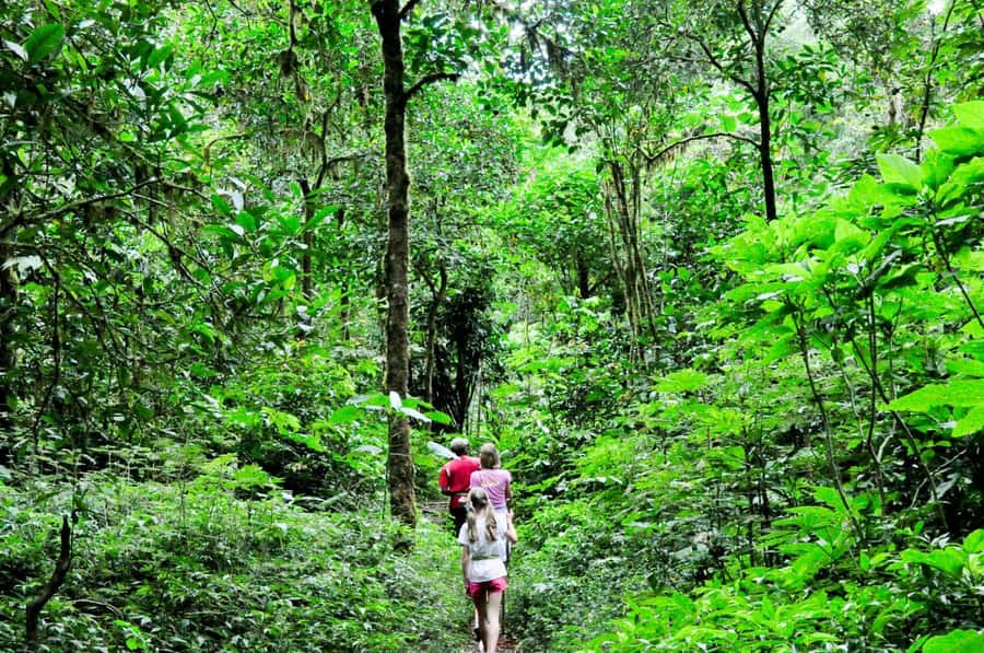Munduk: Twin Lakes Jungle Hike with Lake Canoe and Waterfall - From your hotel to the Twin Lakes viewpoint