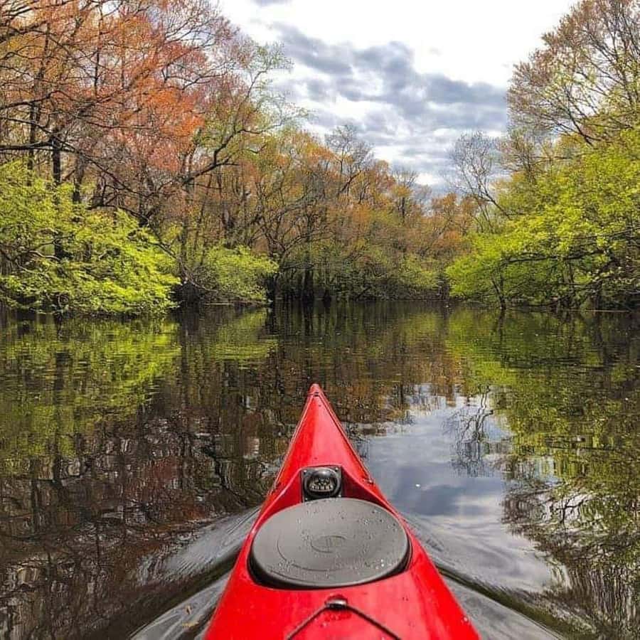 Myrtle Beach: Waccamaw River Kayak Island Tour - Key points to know before you book