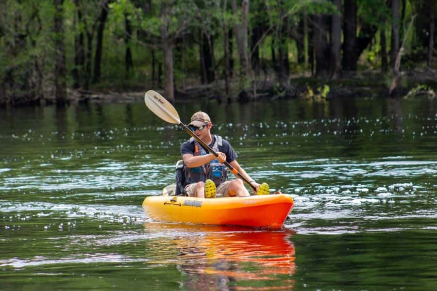 Myrtle Beach: Waccamaw River Kayak Island Tour - Starting at River Island Outpost