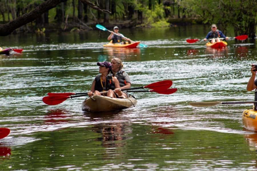 Myrtle Beach: Waccamaw River Kayak Island Tour - The private island stop