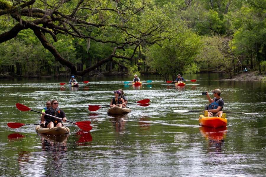 Myrtle Beach: Waccamaw River Kayak Island Tour - Following the Waccamaw River