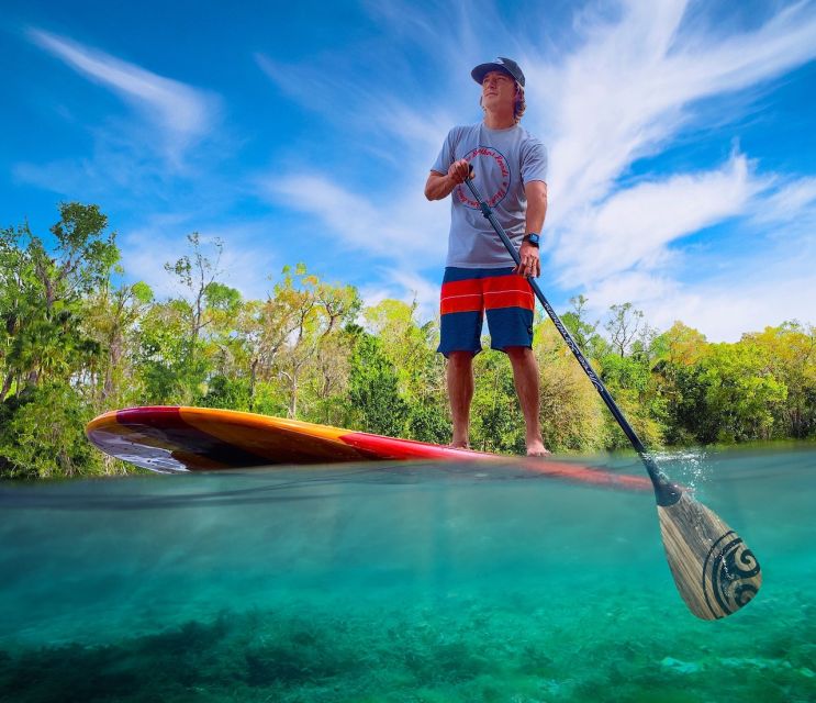 Naples, FL: Guided Standup Paddleboard or Kayak Tour - Finding manatees in warm Florida water