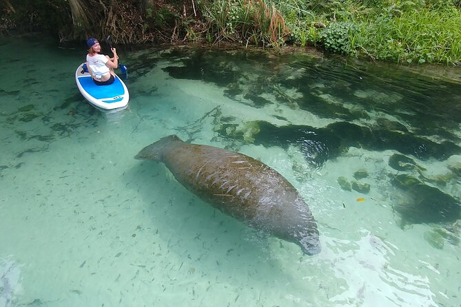 Nature & Island Exploration on SUP/Kayak - Key points to know before booking