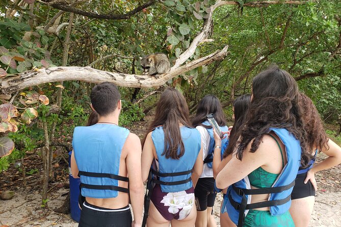 Nature & Island Exploration on SUP/Kayak - What this Miami outing really includes