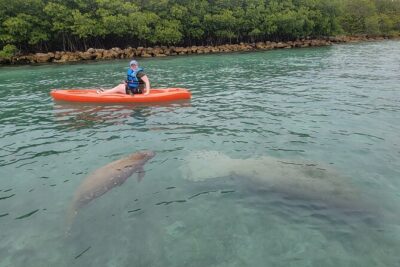 Nature & Island Exploration on SUP/Kayak