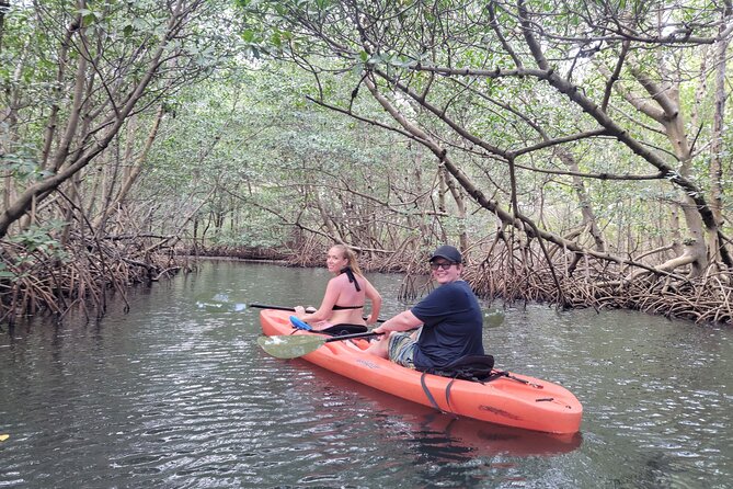 Nature & Island Exploration on SUP/Kayak - Swimming, fruit, and drinks during the break