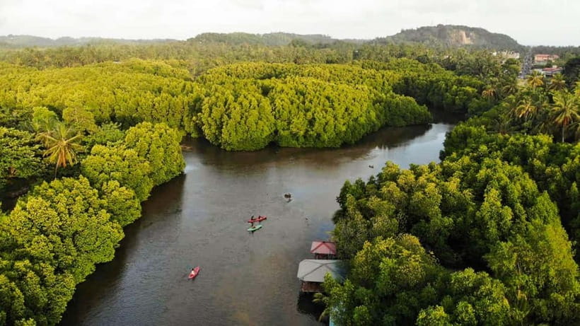Negombo: Guided Kayaking Tour in the Lagoon - Two hours among Negombo’s mangroves