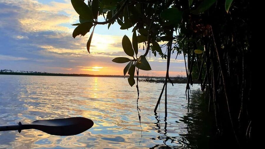 Negombo: Kayaking in the Lagoon - Why Negombo Lagoon works so well by kayak