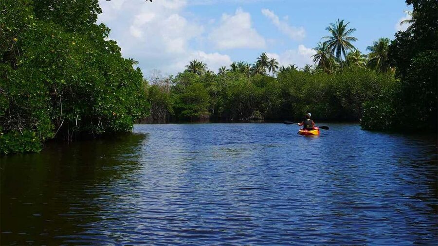 Negombo: Kayaking in the Lagoon - The safety briefing and first strokes