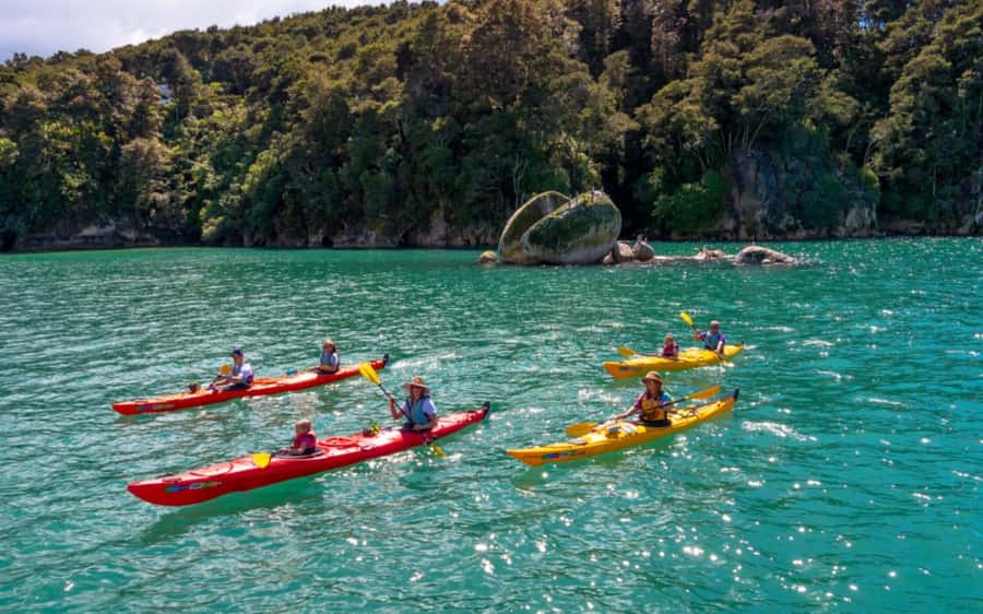Nelson: Abel Tasman Kayaking & Great Taste Trail Bike Tour - Kayaking along the Abel Tasman coast