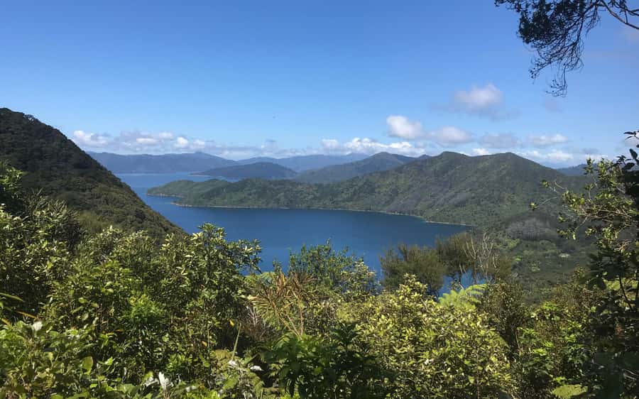 Nelson: Abel Tasman Kayaking & Great Taste Trail Bike Tour - Riding the Great Taste Trail to Mapua