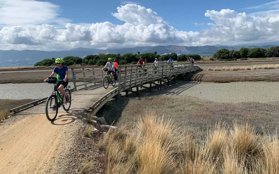 Nelson: Abel Tasman Kayaking & Great Taste Trail Bike Tour - Who should book this experience?